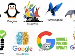 Cập nhật thuật toán Google mới nhất